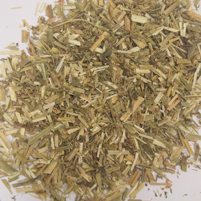 Alfalfa Herb (Medicago sativa)