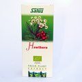 Hawthorn Fresh Plant Juice