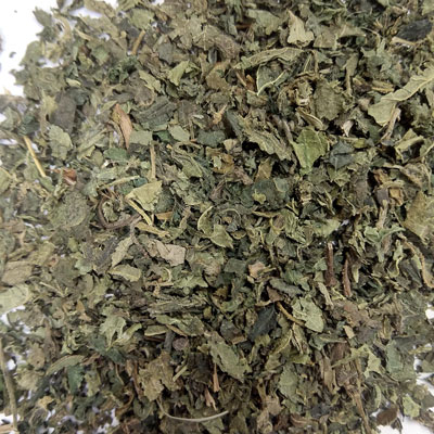 Nettle Herb (Urtica dioica)